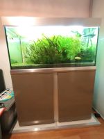 Aquarium Eheim Proxima 250 l + Unterschrank in mokka+Bodenplatte Dortmund - Schüren Vorschau