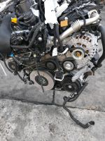 Motor Mercedes 654.920 654920 2.0cdi biturbo 4-matic  7tkm komple Mecklenburg-Vorpommern - Neubrandenburg Vorschau