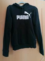 Damen Puma Hoodie Hessen - Eichenzell Vorschau