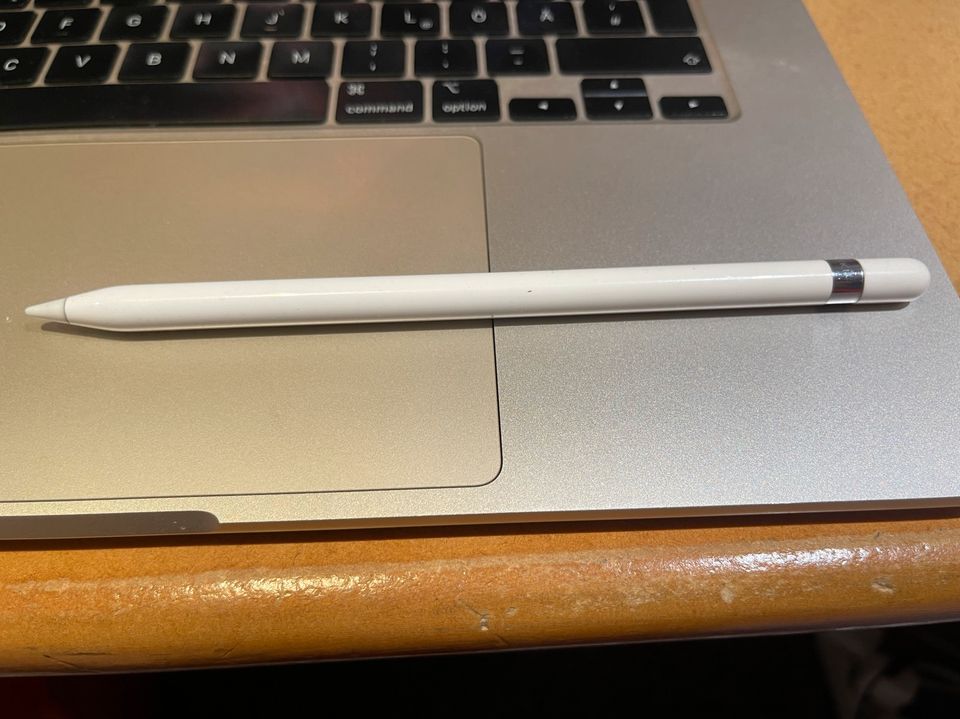 Apple IPad Pro 12.9 256GB Wifi 2. Generation + Appel Pencil in Köln