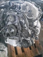 Motor Porsche Cayenne  CUR CURA  3,6 V6 420PS  12TKM  KOMPLETT Mecklenburg-Vorpommern - Neubrandenburg Vorschau