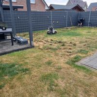 Gartengestaltung, Pflasterarbeiten und Rasenumgestaltung Niedersachsen - Ankum Vorschau