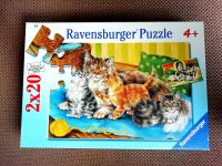 Ravensburger  Puzzle Katzen und Hunde 2X20 Teile Nordrhein-Westfalen - Dorsten Vorschau