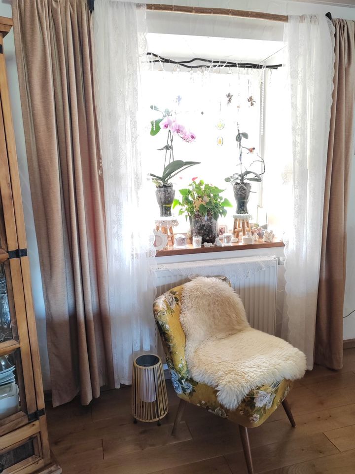 Gardine braun Wohnzimmer Vorhang Hochwertiger Stoff lang 260 cm in Weidenberg