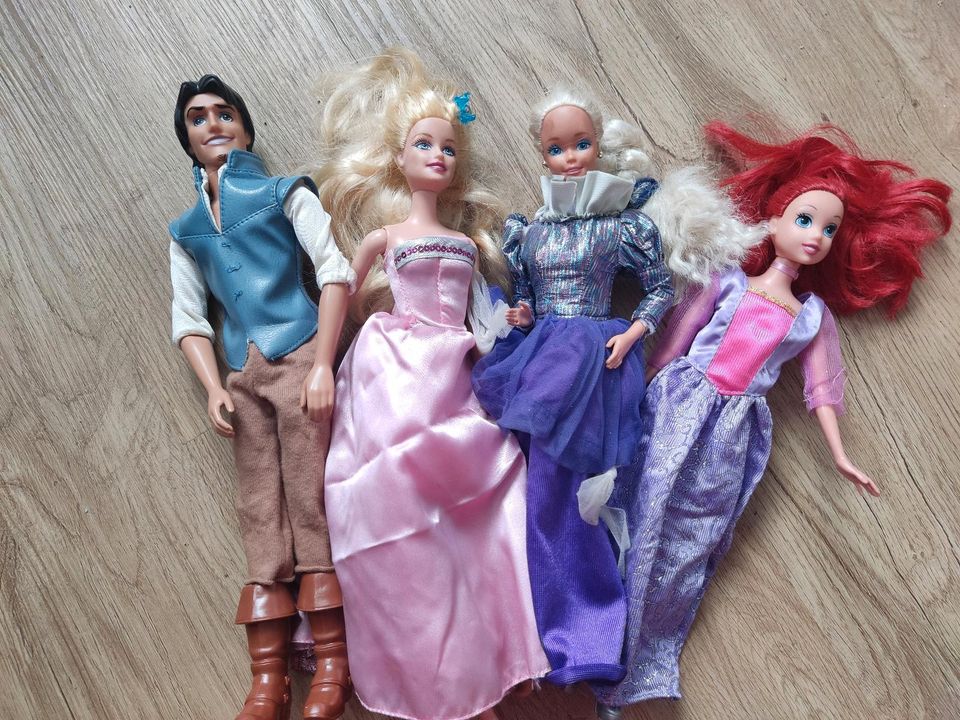 Barbie plus Zubehör in Dresden