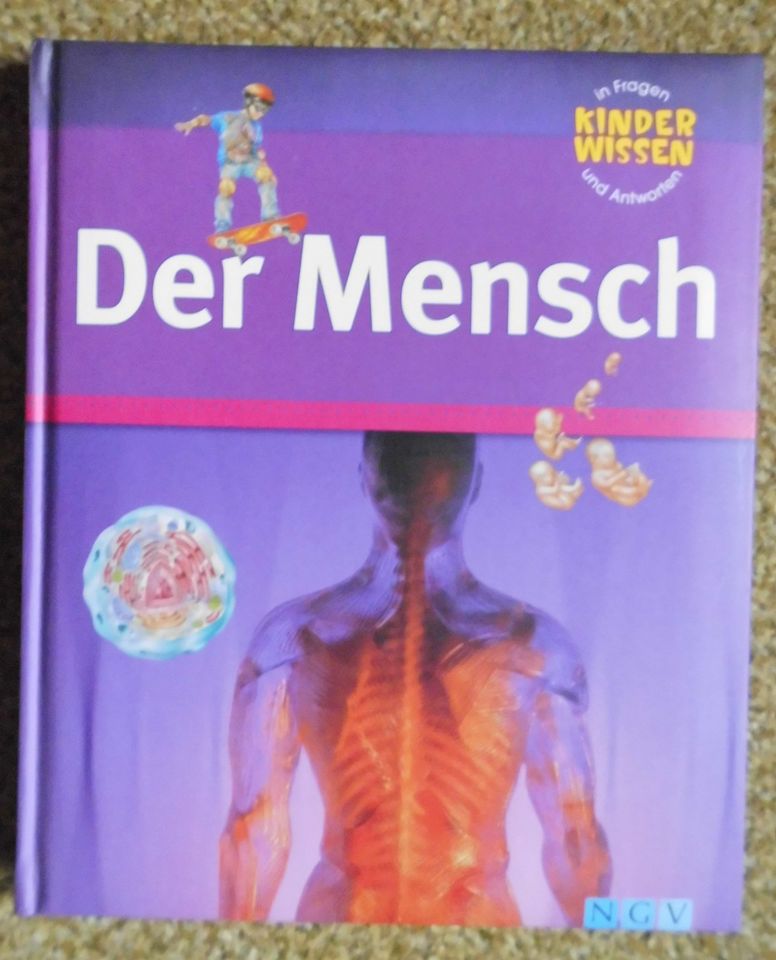 Kinderwissen - Der Mensch - Buch Fragen und Antworten in Thedinghausen