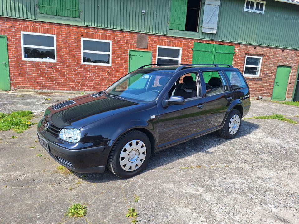 VW Golf kombi 1,9 TDI Ocean in Struvenhütten