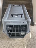 Ani One Hund Tier Box Kiste Transport Auto Sachsen - Lichtentanne Vorschau