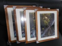 4 Stück Bilderrahmen Holz Rahmen Bild mit Fotografie 40x50cm Niedersachsen - Osnabrück Vorschau