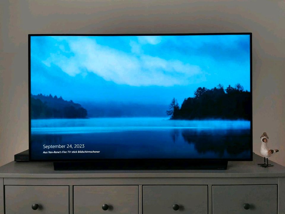 LG OLED55CX6LA | 4K OLED 55 Zoll 139cm | UHD SMART TV Fernseher in Barsbüttel