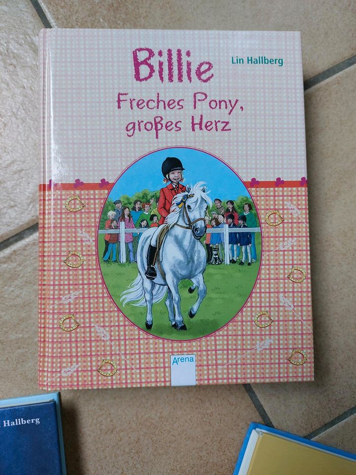 Bücher Alle lieben Billie Du schaffst das freches Pony großes Her in Niddatal