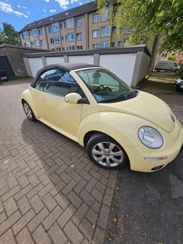 VW Beetle Cabrio in Duisburg