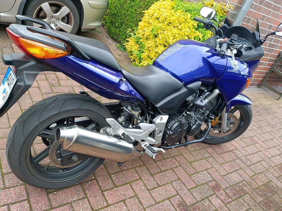 Honda CBF 600 PC38 mit ABS, TÜV neu in Südbrookmerland