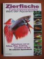 "Zierfische" Faszinierende Welt der Aquarien Nordrhein-Westfalen - Brilon Vorschau