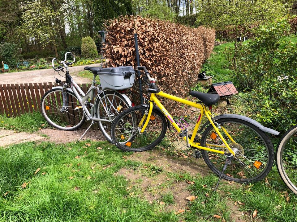 Fahrräder Mountainbike, City Bike in Detmold