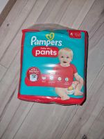 Pampers  Pants original verschlossen. Nordrhein-Westfalen - Arnsberg Vorschau