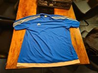 Adidas Shirt blau 2XL Baden-Württemberg - Rielasingen-Worblingen Vorschau