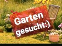Suche Garten, Grundstück mit Hütte, Haus Baden-Württemberg - Markgröningen Vorschau