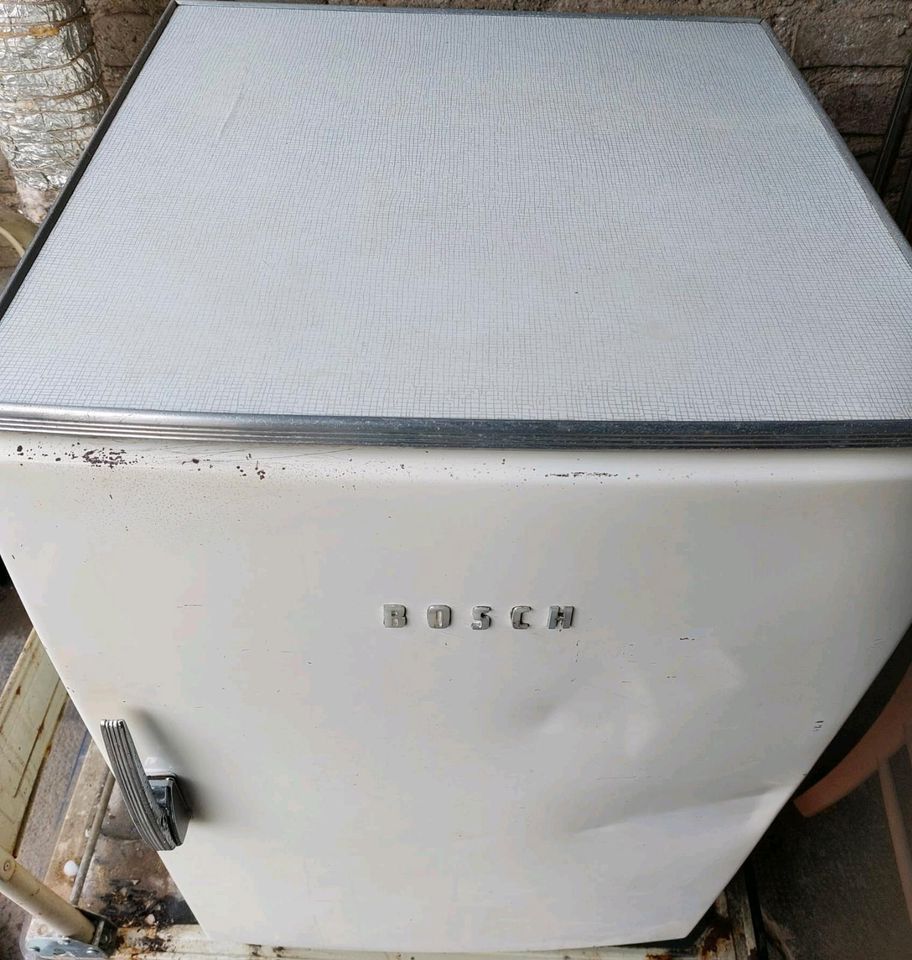 Bosch Kühlschrank in Heimborn