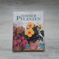 Buch über Zimmerpflanzen - Zimmerpflanzenbuch Schleswig-Holstein - Glückstadt Vorschau