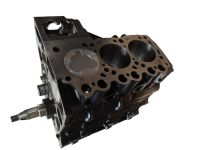 Short Block Triebwerk Rumpfmotor instandgesetzt Mitsubishi L3E Nordrhein-Westfalen - Verl Vorschau