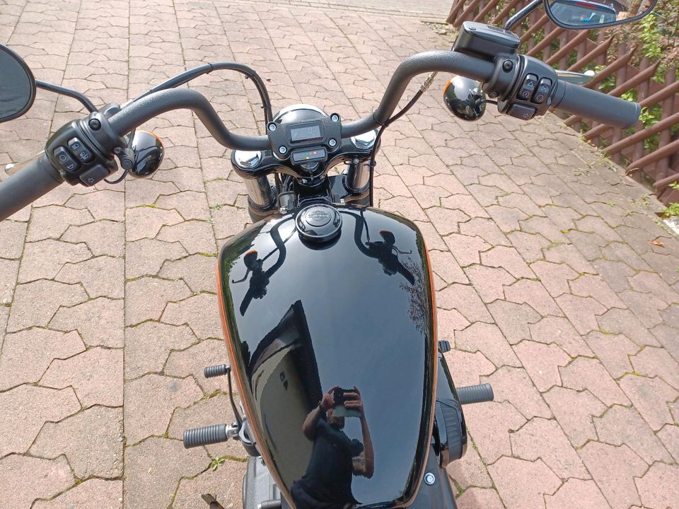 Harley Davidson Street Bob mit jekyll & hyde M8 114 in Vienenburg