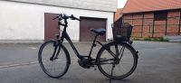 E- Bike Kreidler Eco Vitality Eco 3 2016 Niedersachsen - Goslar Vorschau