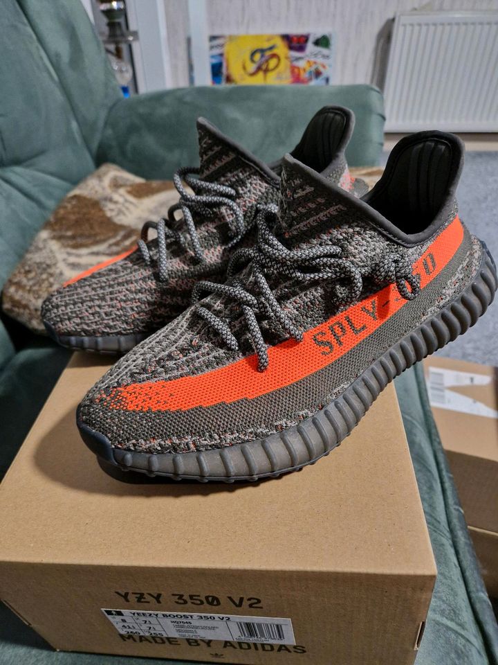 Adidas Yeezy Boost 350 v2 Beluga/Solred 41 1/3 in Leverkusen