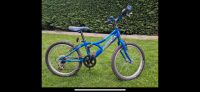Orbea 20 Zoll Kinder Fahrrad blau Rheinland-Pfalz - Ellerstadt Vorschau
