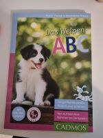 Das Welpen ABC Niedersachsen - Lingen (Ems) Vorschau