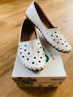 Gemini Ballerina Sachsen - Schlettau Vorschau