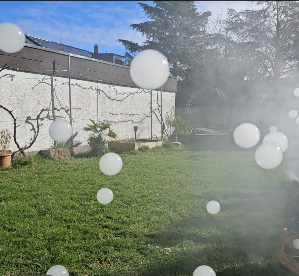 Bubble Fog Seifenblasen Nebel gefüllt Hochzeit Kindergeburtstag in Bodenheim