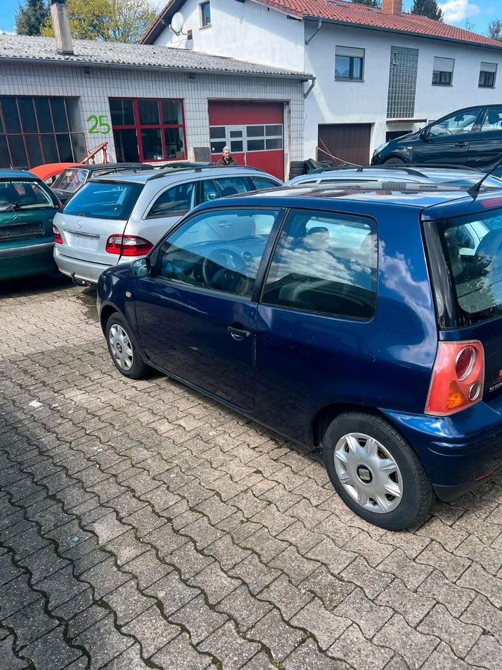 Seat arosa in Heusweiler