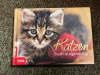 Tosa Katzen sanft und eingenwillig Buch Nürnberg (Mittelfr) - Nordstadt Vorschau