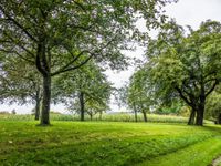 Erschlossenes Baugrundstück in Vogelsdorf - Inkl. Baugenehmigung für vier Doppelhaushälften Brandenburg - Fredersdorf-Vogelsdorf Vorschau