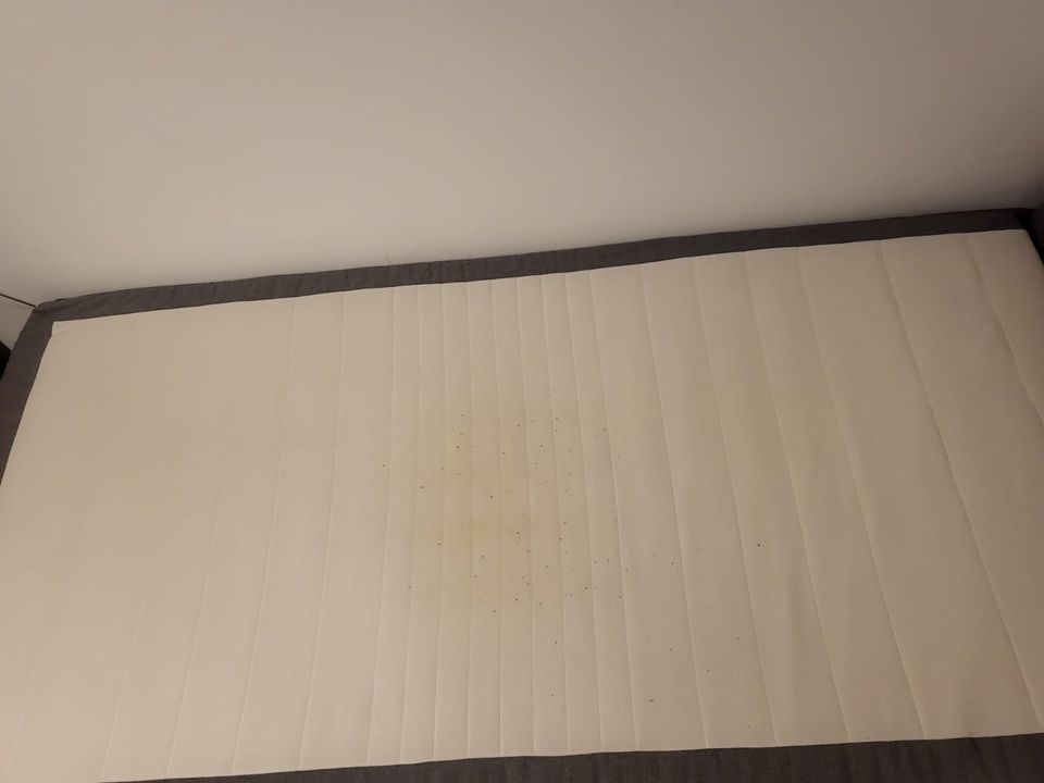 Boxspringbett 90x200 cm elektrisch mit Fernbedienung in Bremen