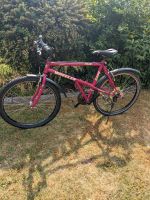 MTB Wheeler ProLine 5400 26Zoll RH42 Shimano Exage LX 21Gang Baden-Württemberg - Wertheim Vorschau