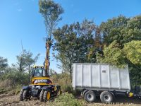 Baumfällung, Fällarbeiten und Baumpflege Nordfriesland - Braderup Vorschau