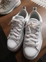 Puma schuhe Nordrhein-Westfalen - Lünen Vorschau