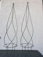 2 Stück Rankhilfe für Topf oder Beet Metall Höhe 115cm Rheinland-Pfalz - Bellheim Vorschau
