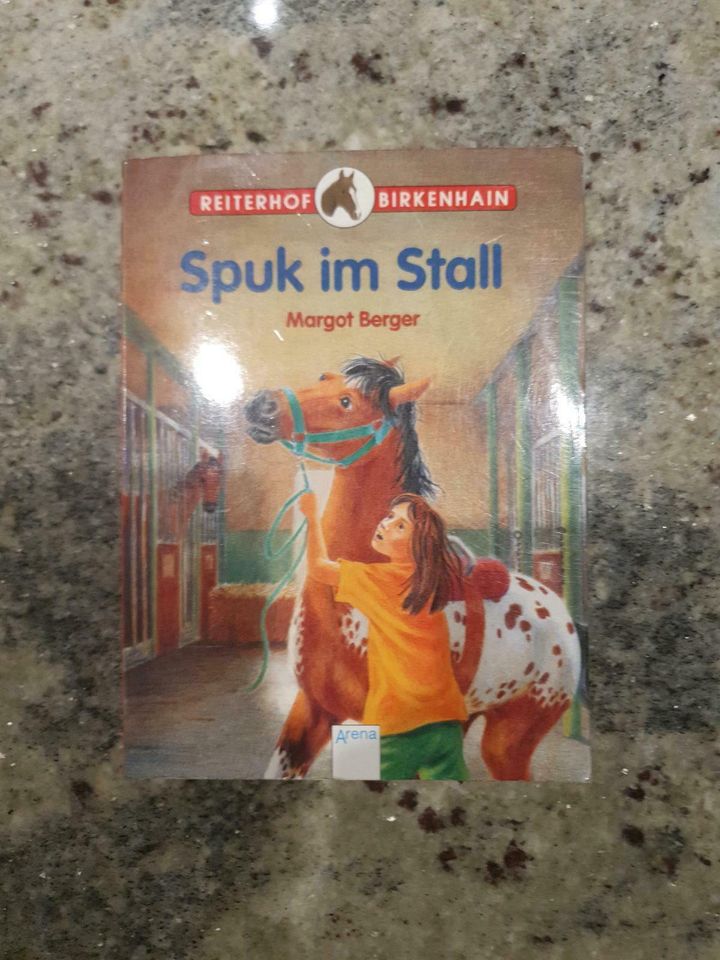 Buch Spuk im Stall Pferde Reiterhof Birkenhain in Reichenbach