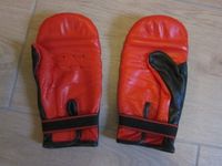 Sandsacktraining Boxhandschuhe rot Gr. L Schleswig-Holstein - Tappendorf Vorschau