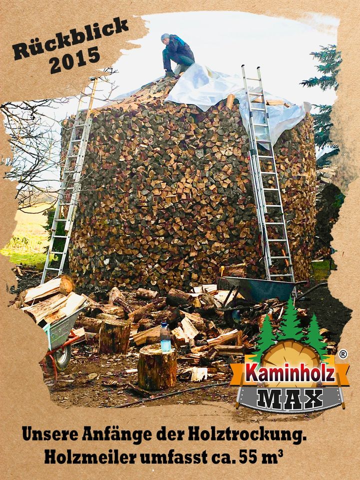 ab 4 m³ bis 35 m³ - 30 km um KEMBERG, Gräfenhainichen, Bad Schmiedeberg Kaminholz, Brennholz, Feuerholz, Holzvergaser, Kamin, Holz, Feuer, Brenn in Kemberg