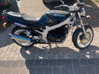 Suzuki GS 500 E Rheinland-Pfalz - Kinderbeuern Vorschau