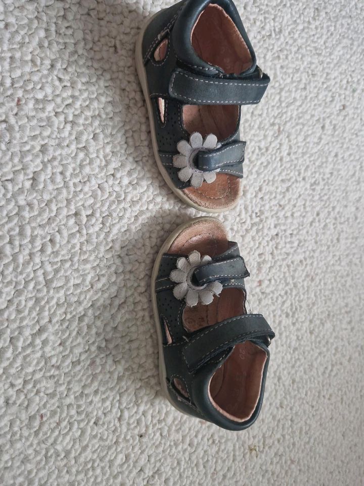 Pepino Sandalen in Berlin