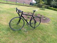 Specialized allez Rennrad Gr. L, 56 cm Nordrhein-Westfalen - Bedburg-Hau Vorschau