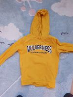 Hoodie Pullover Name it Gr 116 Hannover - Misburg-Anderten Vorschau