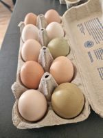 Täglich frische Eier - Hühnereier Bayern - Hohenau Vorschau