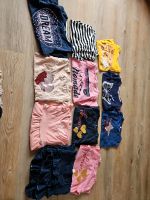 9 Shirts Mädchen 122 (1×128/134) bunt langarm pulli Niedersachsen - Nordhorn Vorschau