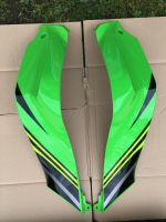 Kawasaki ZX10R 2016-2020 Seitenteile Tank Nordrhein-Westfalen - Arnsberg Vorschau